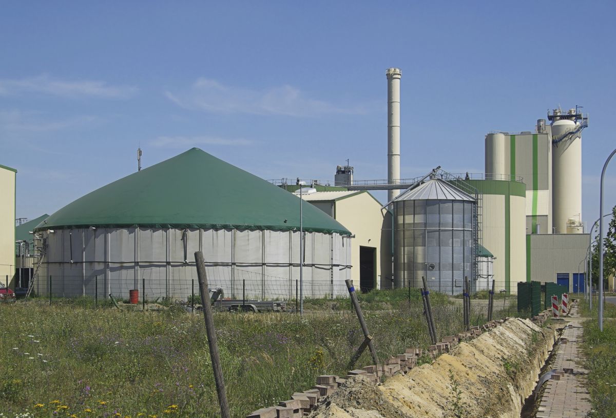 In Deutschland liegt der Fokus des Anbaus von Sorghumhirse auf dem Einsatz als Substrat für Biogasanlagen.
