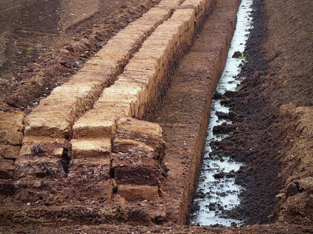 Der Abbau von nährstoffreichem Torf zerstört Hochmoore. Ehemals als Brennstoff genutzt, wird Torf heute im Gartenbau zur Bodenverbesserung oder in der schottischen Whiskey-Produktion eingesetzt.
