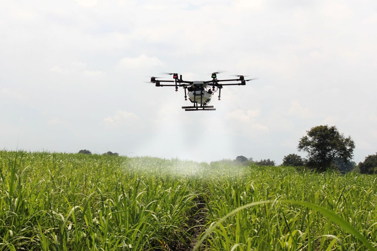 Drohnen sind schon heute in der Landwirtschaft im Einsatz. Sie könnten auch in der Züchtung bald eine wichtige Rolle bei der Phänotypisierung spielen. (Bildquelle: © pixabay, CC0)