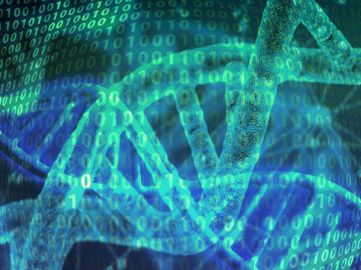 Mit Hilfe von maschinellem Lernen lässt sich vorhersagen, wie die beste pegRNA für eine erfolgreiche Genomeditierung aussehen sollte. (Bildquelle: ©geralt / Pixabay)