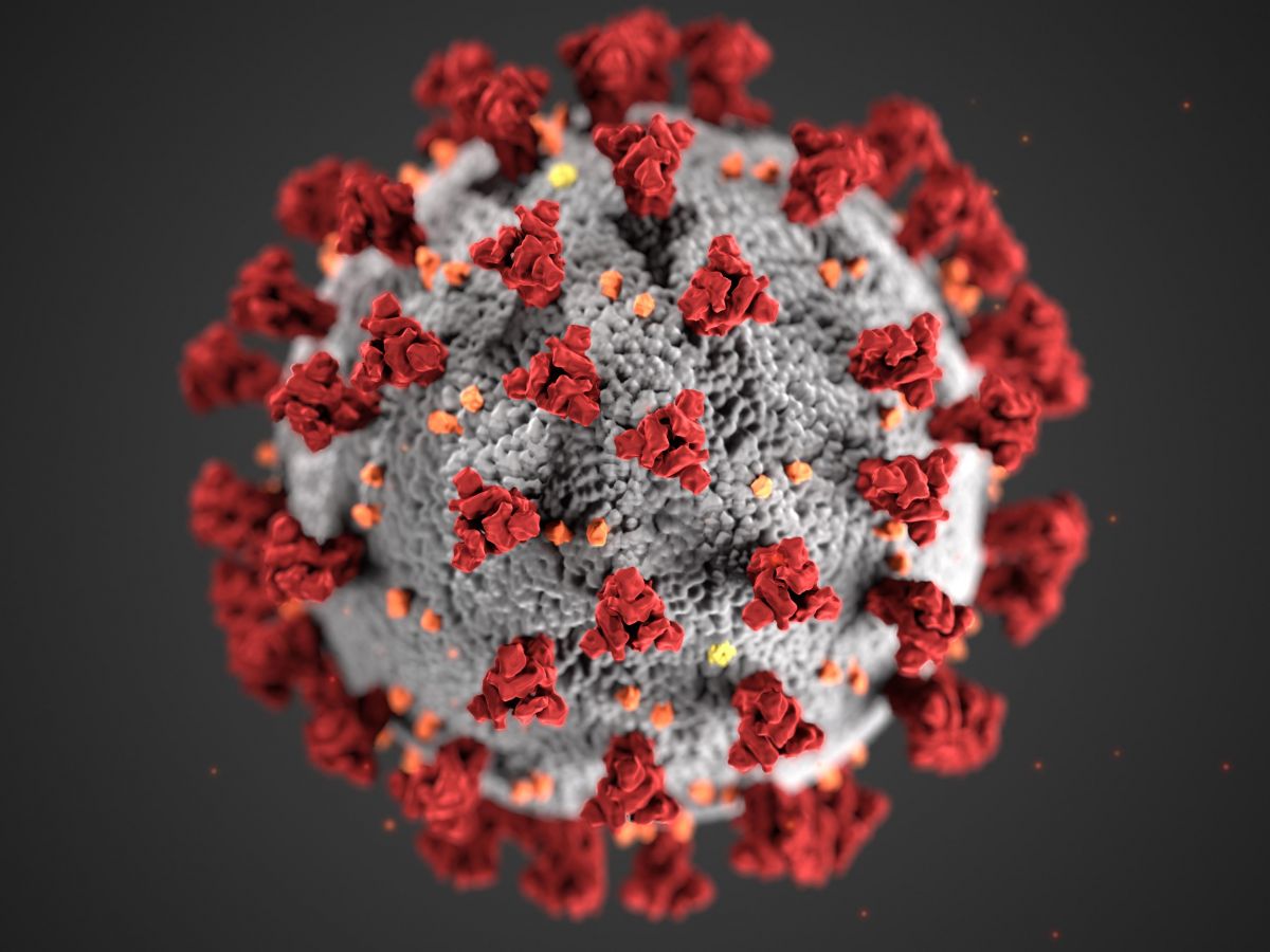 Das neuartige Coronavirus SARS-CoV-2: Illustration vom Center for Disease Control and Prevention (CDC).
