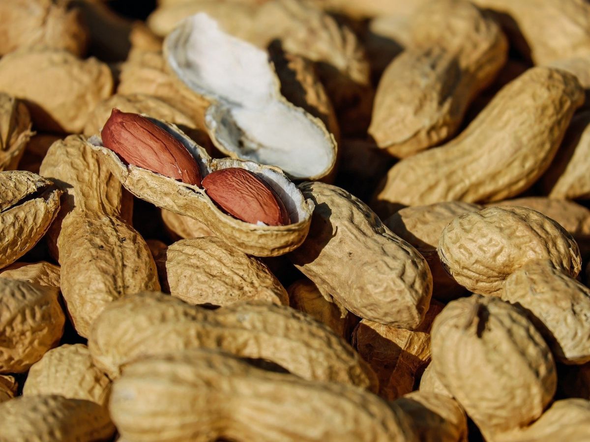 Erdnüsse können allergische Reaktionen hervorrufen. (Bildquelle: © Couleur/Pixabay)