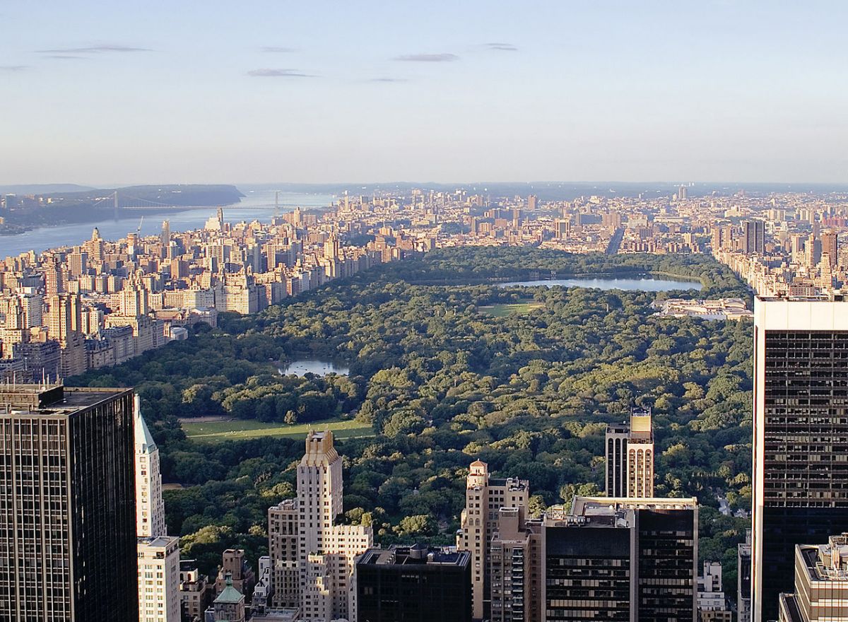 Der Central Park in New York City: Der Boden unter dem Central Park hat eine ähnlich hohe mikrobielle Diversität wie natürliche Böden aus anderen Ökosystemen.