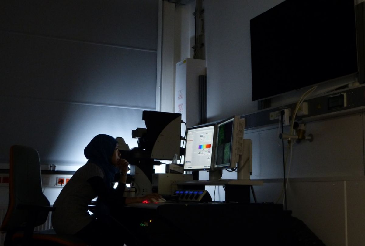 Mo Awwanah beim Screening ihrer Pappelmutanten am Konfokal-Mikroskop.
