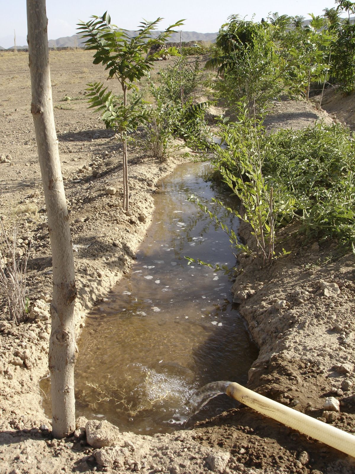 Eine Intensivierung der syrischen Landwirtschaft verursachte einen massiven Wasserverbrauch durch künstliche Bewässerung, der die Grundwasserreserven größtenteils aufbrauchte.