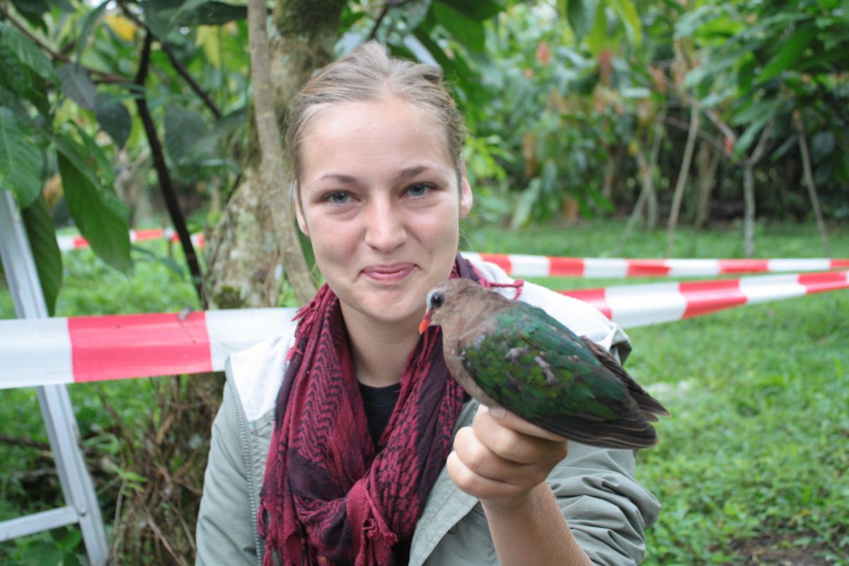 Wissenschaftlerin Bea Maas mit einem tierischen Helfer: Ohne Vögel und Fledermäuse lieferten die Kakaobäume im Experiment bis zu 31 Prozent weniger Ertrag. (Quelle: © Georg-August-Universität Göttingen/Agrarökologie)