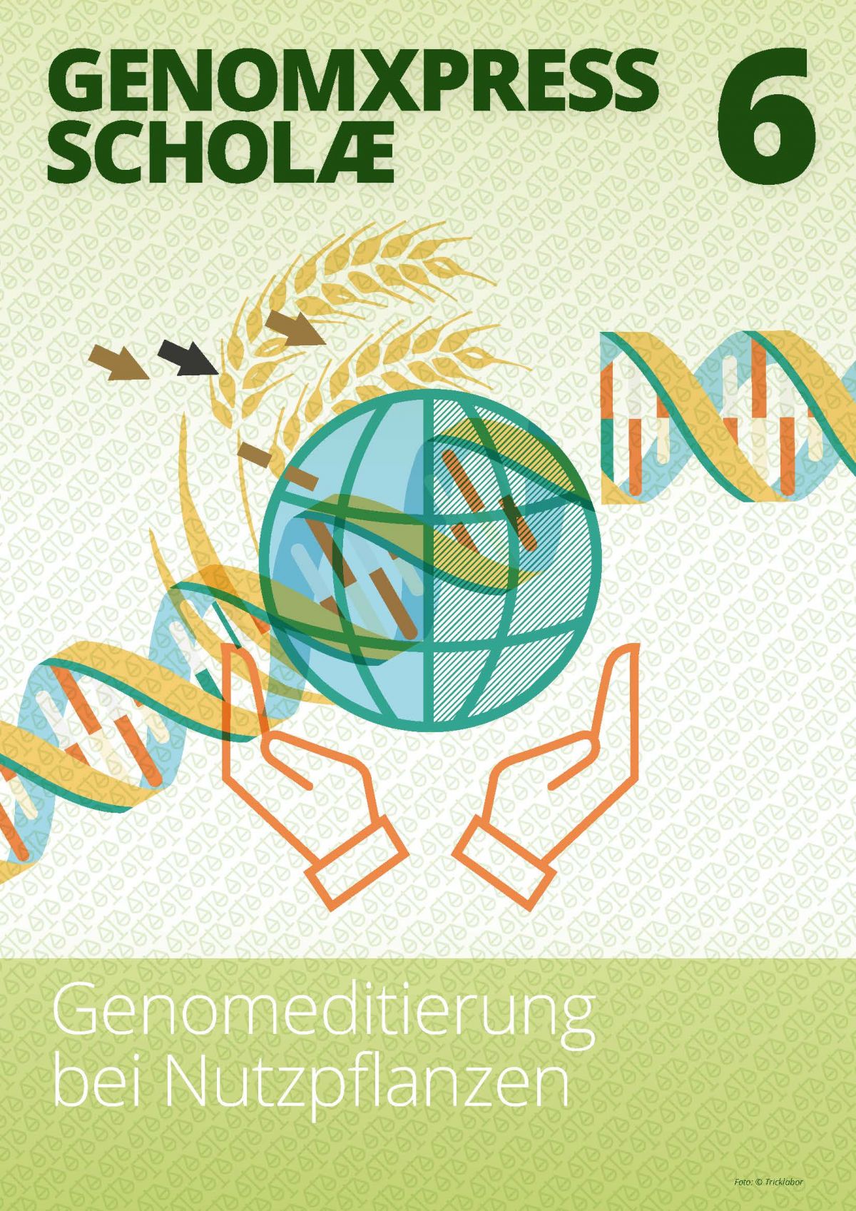Pflanzenforschung Genomxpress 6 - © Tricklabor