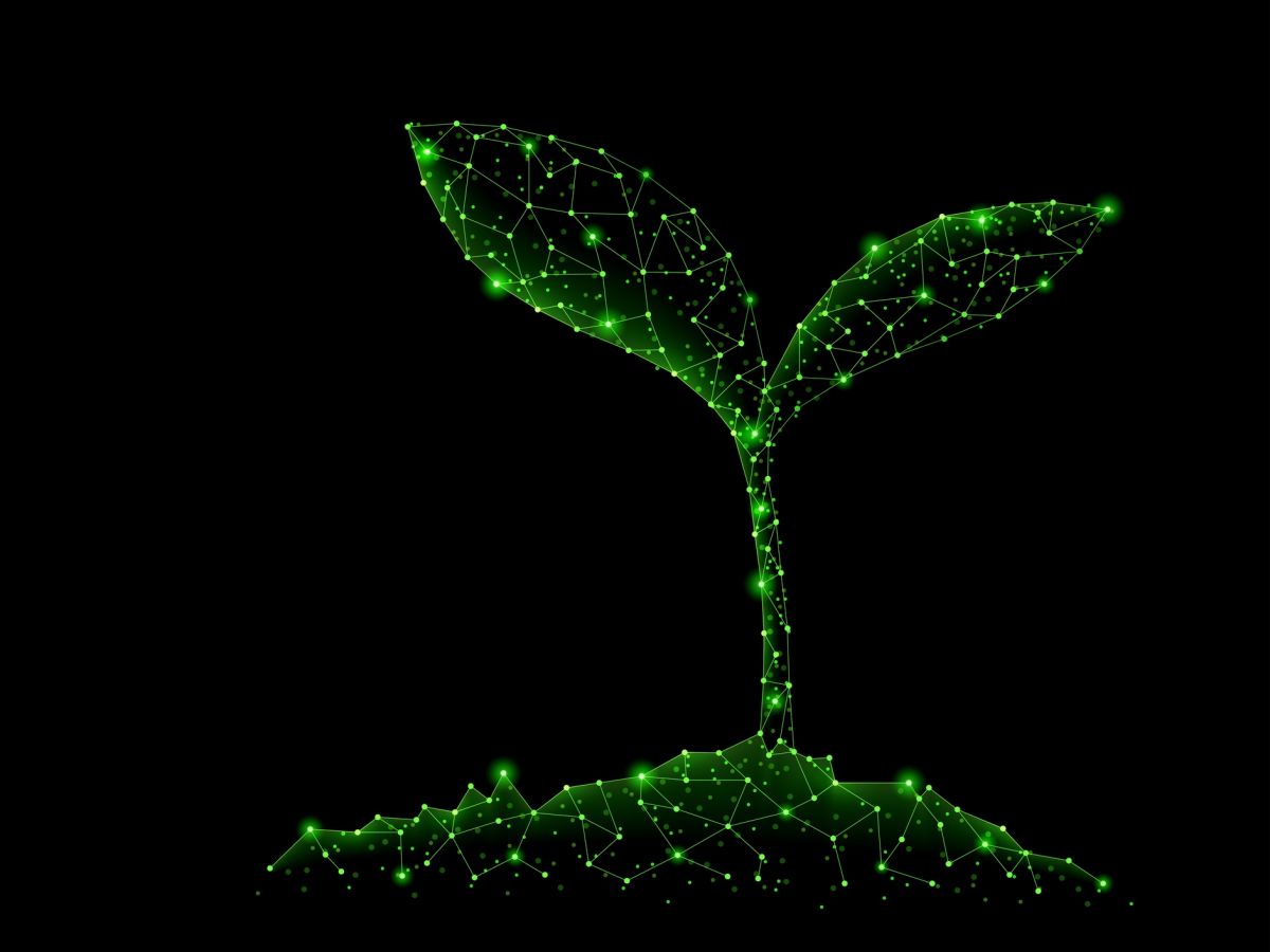 Komplexes Netzwerk: Proteine in pflanzlichen Signalnetzwerken haben eine Vielzahl an Interaktionspartnern. (Bildquelle: © iStock.com/Leyn)