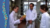 Video: PCR-Methode in der Lebensmittelüberwachung