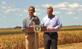 Obama und Vilsack auf einem Maisfeld in Iowa